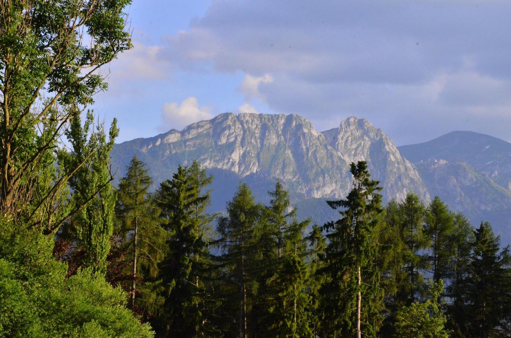 Chata Walczakow -Blue Cave Cottage Zakopane Dış mekan fotoğraf