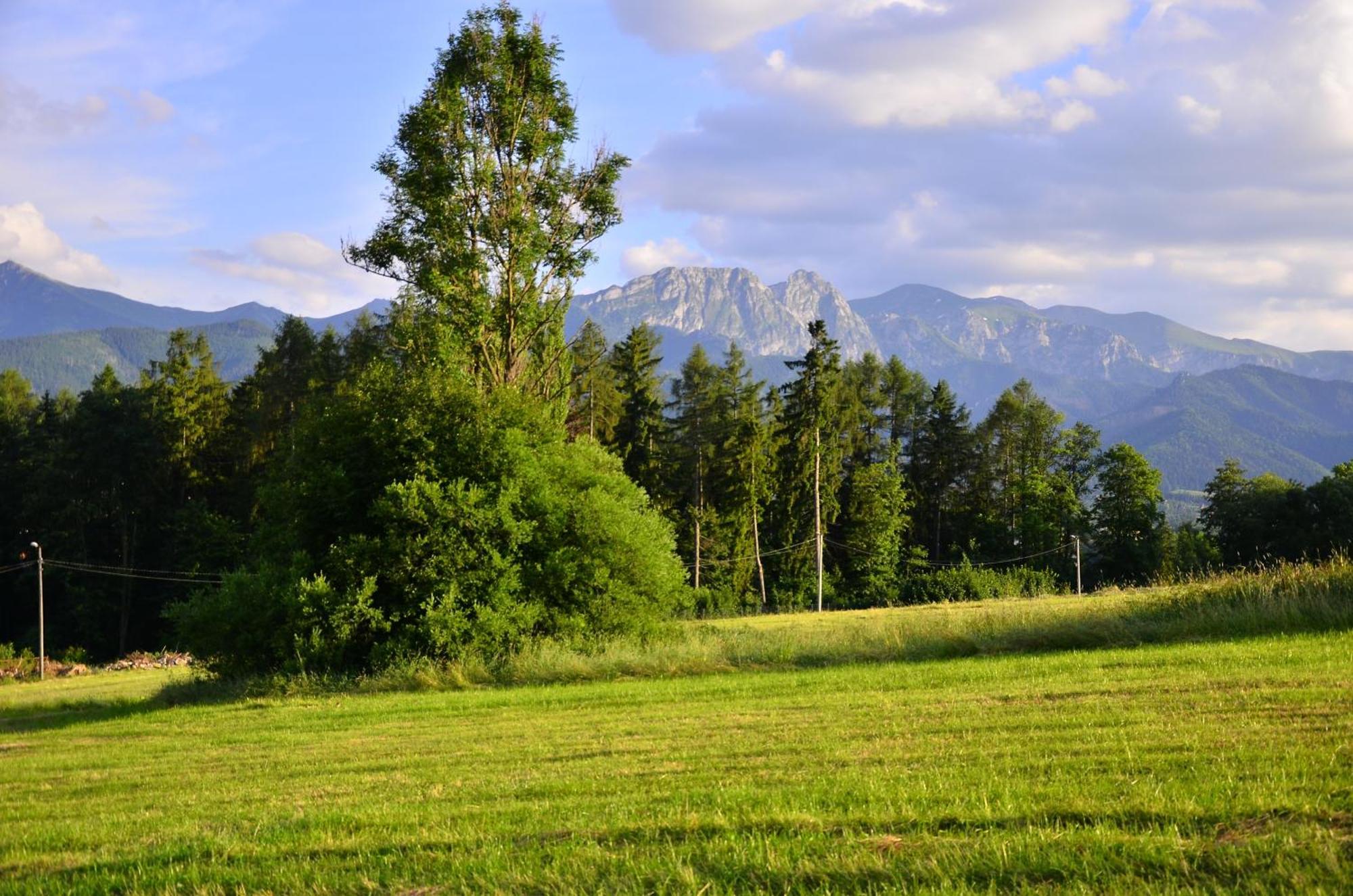 Chata Walczakow -Blue Cave Cottage Zakopane Dış mekan fotoğraf